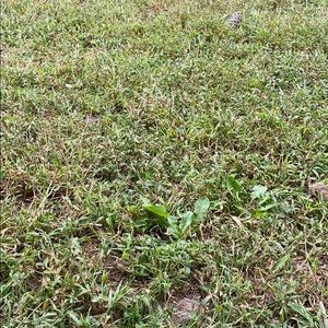 Meet your Posher, Jacquita